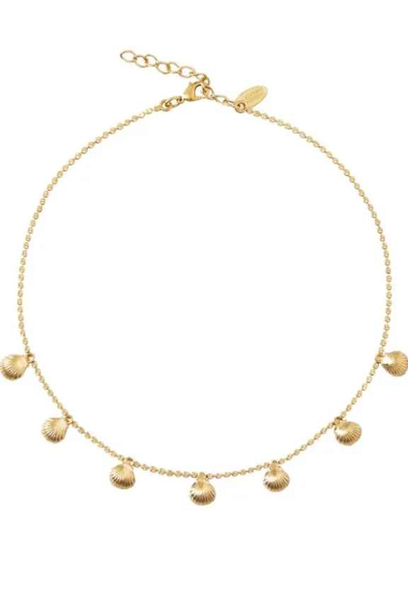 Caroline Svedbom Petite Shell Chocker - Gold | Jewellery | Gifts