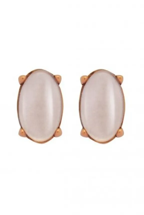 Sence Copenhagen The Griff Earstuds with Glass - Gold Plated | Jewellery | Gifts
